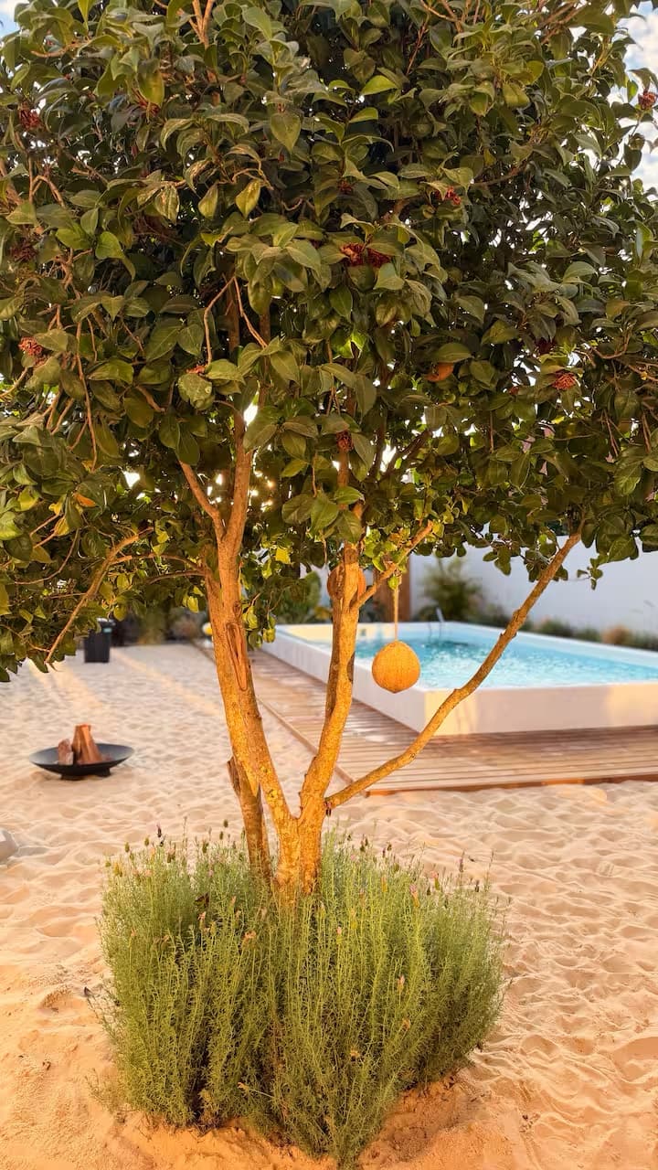 Sommarhus Beach Villa, o jardim e a piscina sob a árvore de fruto